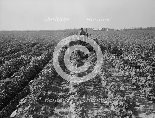 Tractors on Lake Dick project, Arkansas, 1938. Creator: Dorothea Lange.