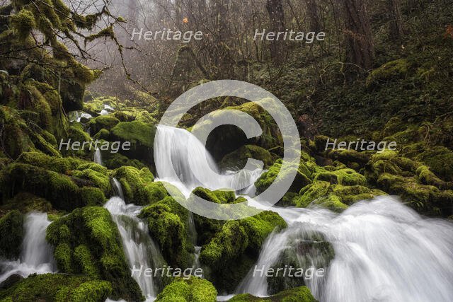 Bunch Falls. Creator: Joshua Johnston.