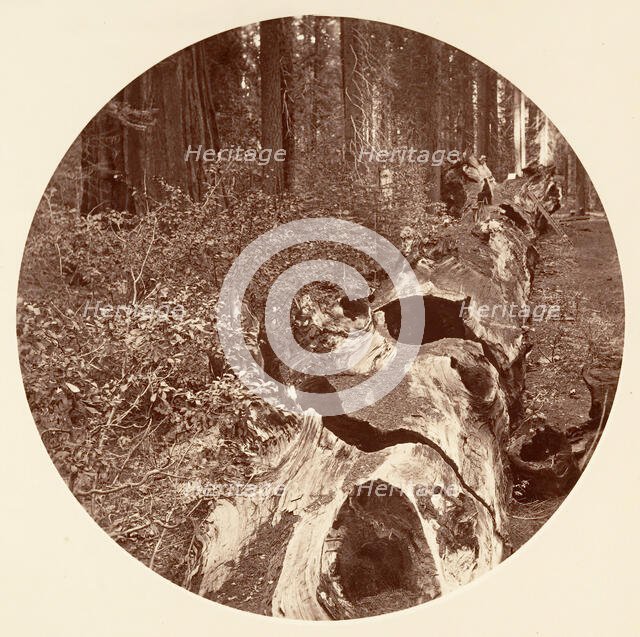 Auld Reckie - C. Grove, ca. 1878. Creator: Carleton Emmons Watkins.