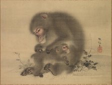 Monkeys, late 18th-early 19th century. Creator: Mori Sosen (Japanese, 1747-1821).