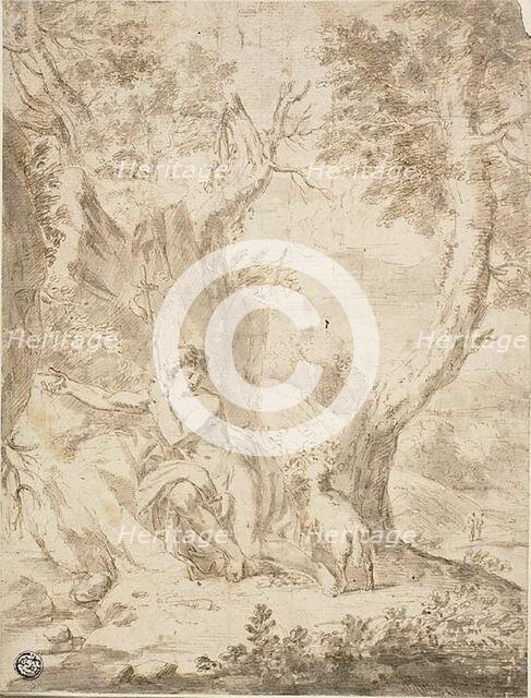 Saint John the Baptist in the Wilderness, n.d. Creator: Unknown.