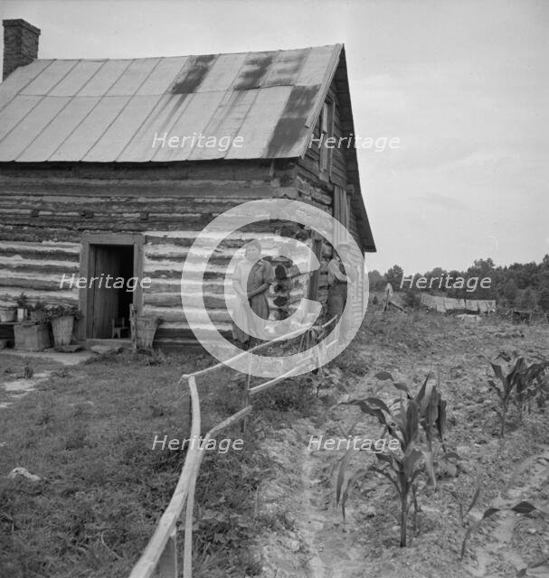 Home of tenant, Hillside Farm, Person County, North Carolina, 1939. Creator: Dorothea Lange.