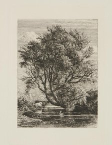 The Willow, 1850. Creator: Samuel Palmer.