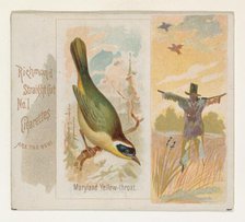 Maryland Yellow-throat, from the Song Birds of the World series (N42) for Allen & Ginter C..., 1890. Creator: Allen & Ginter.