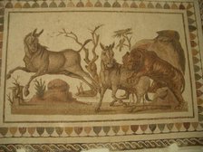 Mosaic, El Jem Museum, El Djem, Tunisia, 2009. Creator: Amanda Waite.