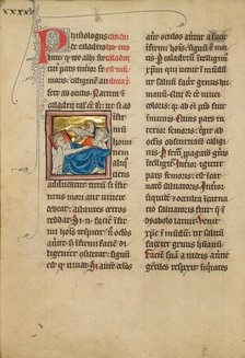 Caladrius Birds; A Plover; De Natura Avium; De Pastoribus et Ovibus, 1277 or after. Creator: Unknown.