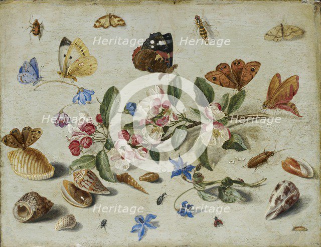 Flowers and Insects, late 1650s or early 1660s. Artist: Jan van Kessel.