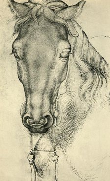 Head of a horse, c1420-1455, (1943). Creator: Pisanello.