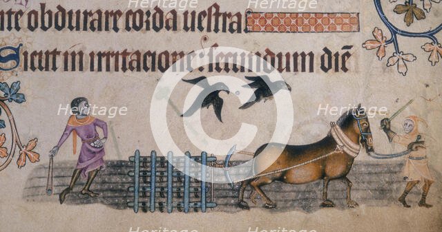 Two farm workers with a harrow, c1300-c1340. Creator: Unknown.