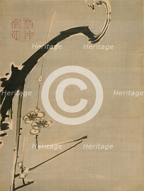 Plum Blossoms, 18th century. Artist: Jakuchu, Ito (1716-1800)