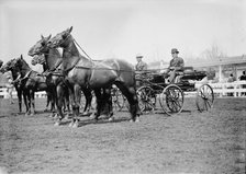 Horse Shows - Teams, 1911. Creator: Harris & Ewing.