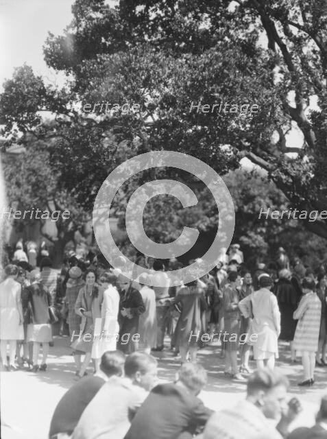 University of California at Berkeley views, 1927 Creator: Arnold Genthe.