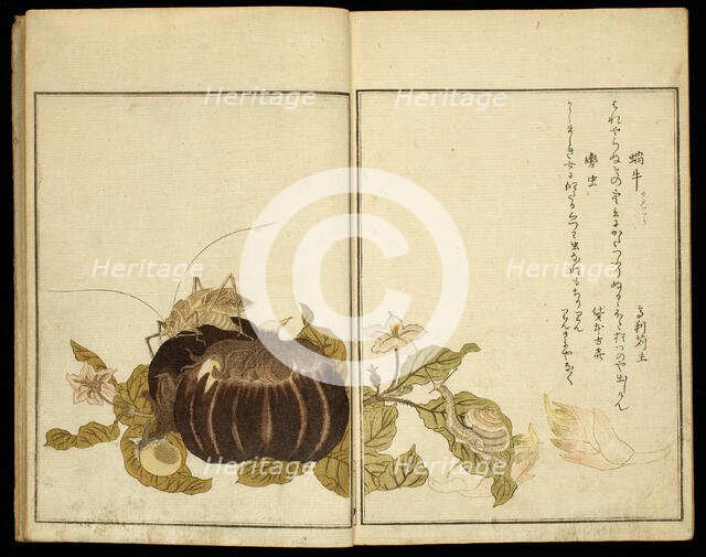 Picture Book: Selected Insects (Ehon mushi erabi), Japan, 1788. Creator: Kitagawa Utamaro.