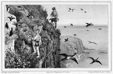 Kamchatka, Hunting Puffins, 19th century. Creators: Friedrich Heinrich Kittlitz, Victor Adam, Godefroy Engelmann, Leon Jean-Baptiste Sabatier.