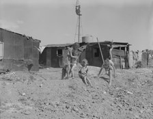Housing for migratory cotton laborers near Casa Grande, Arizona, 1937. Creator: Dorothea Lange.