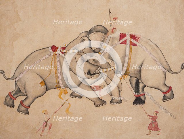 Elephant Combat, c1725. Creator: Unknown.