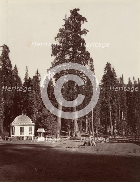 The Sentinel, 315 feet, 1865-66, printed ca. 1876. Creator: Carleton Emmons Watkins.