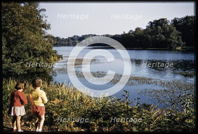 Virginia Water, Egham, Runnymede, Surrey, 1959. Creator: Norman Barnard.