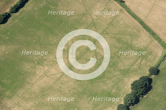 Crop marks of a probable prehistoric or Roman settlement, near Bicton, Devon, 2018. Creator: Historic England Staff Photographer.