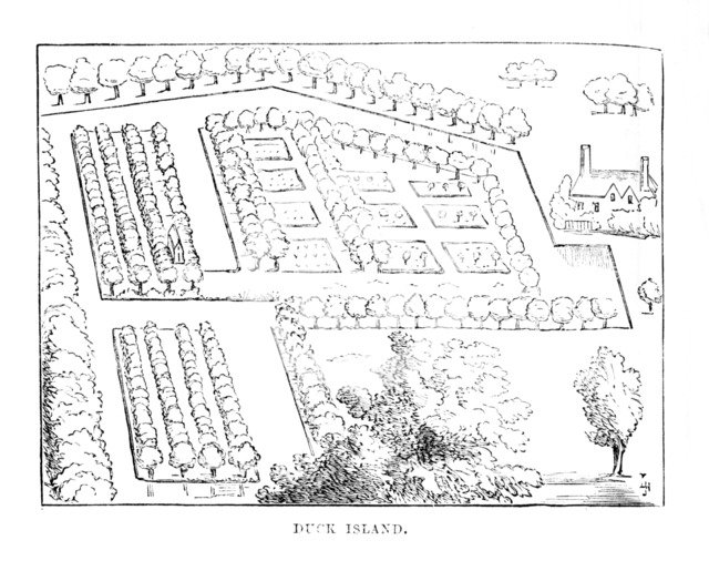 'Duck Island', c1870. Artist: Unknown.
