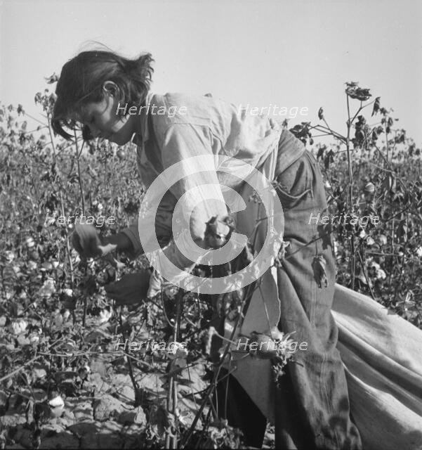 Cotton picker, Southern San Joaquin Valley, California, 1936. Creator: Dorothea Lange.