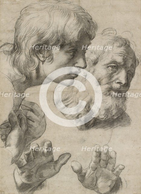 Studies of the Heads of two Apostles and of their Hands, 16th century. Artist: Raphael.