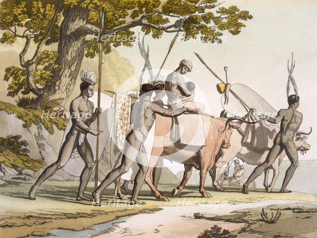 Korah Hottentots of the Cape on the move, Vol II, c1820-40. Creator: Sir John Barrow (1764-1848).