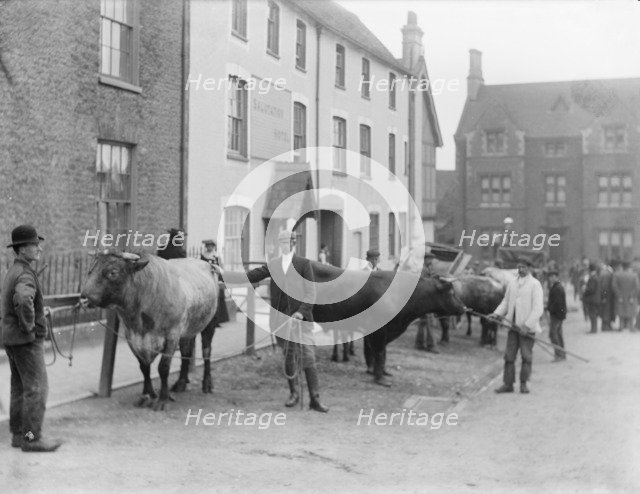 Salutation Inn, Faringdon, Oxfordshire, 1904. Artist: Henry Taunt