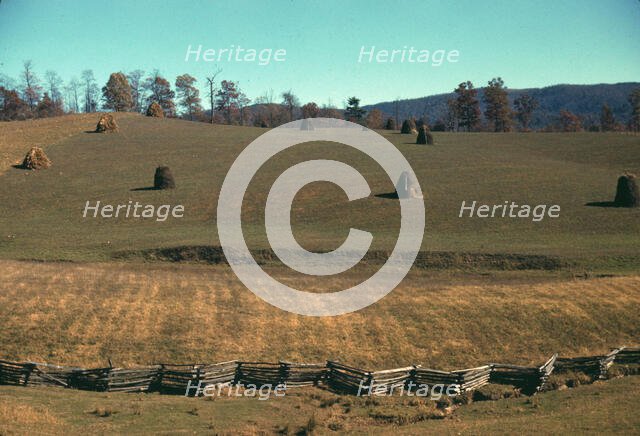 Field of a mountain farm along the Skyline Drive in Virginia, ca. 1940. Creator: Jack Delano.