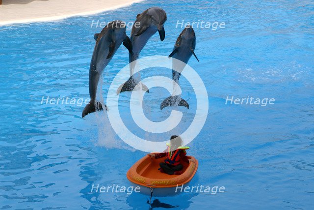 Dolphin show, Loro Parque, Tenerife, Canary Islands, 2007.