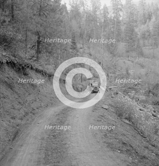 Bringing in load of logs late in the afternoon from the woods..., Gem County, Idaho, 1939. Creator: Dorothea Lange.