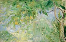 Branches d'oranger, 1889. Creator: Morisot, Berthe (1841-1895).