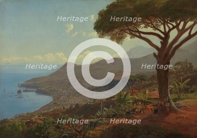 View of Funchal on Madeira, 1853. Creator: J. F. Eckersberg.