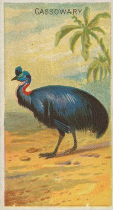 Cassowary, from the Birds of the Tropics series (N5) for Allen & Ginter Cigarettes Brands, 1889. Creator: Allen & Ginter.