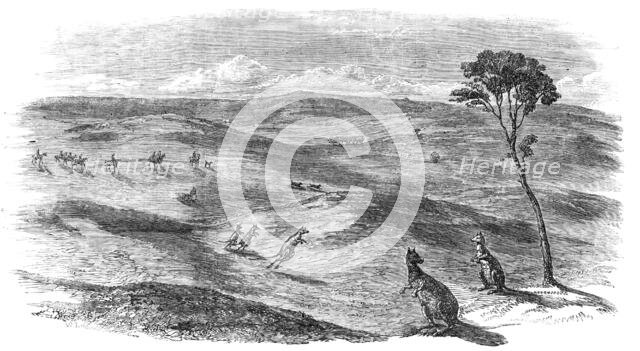Kangaroo Hunt in Western Australia, 1857. Creator: Unknown.