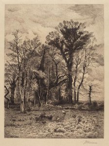 The Edge of the Swamp, 1886. Creator: Peter Moran.