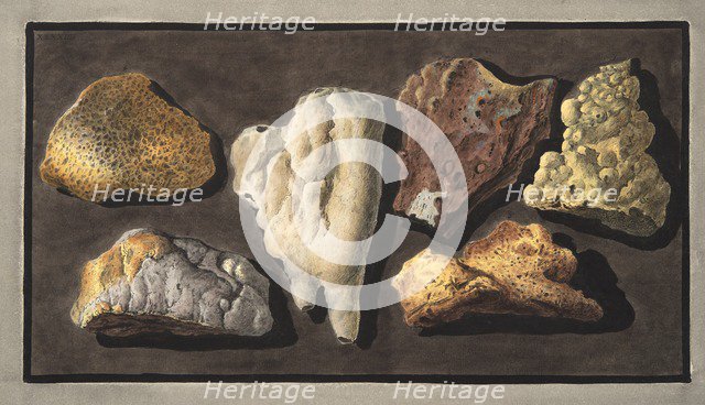 Specimens of volcanic matter taken from the inside of the crater of Vesuvius, 1776.