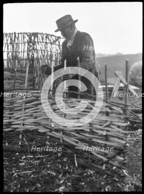 A hurdle maker at work near the town of Alton, East Hampshire, Hampshire, 1920-1960. Creator: George R Long.