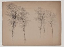 Trees in the Catskill Mountains, June 14, 1856, 1856. Creator: John William Casilear.