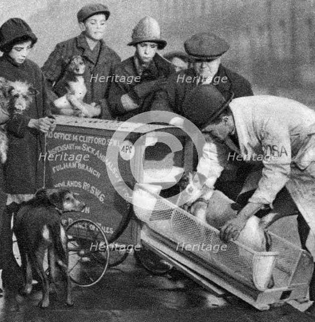 Ambulance of the Dispensary for Sick Animals of the Poor, London, 1926-1927. Artist: Unknown