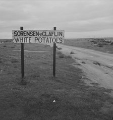 Large-scale agriculture beside U.S. 99. , Kern County, California, 1939. Creator: Dorothea Lange.