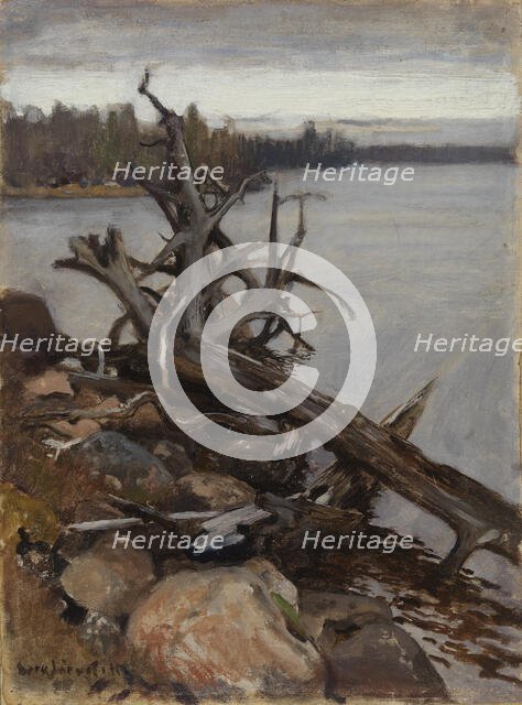 Dead Pine in the Water, 1898. Creator: Eero Jarnefelt.