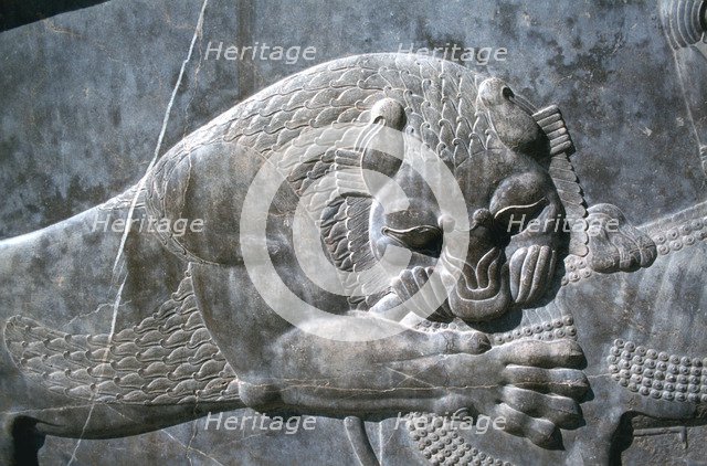 Detail from a relief of a lion attacking a bull, the Apadana, Persepolis, Iran
