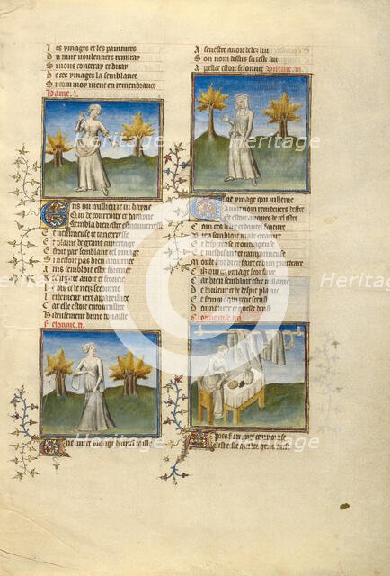 Female Personifications of Hatred, Evil, Vileness, and Greed; Roman de la Rose, about 1405. Creator: Unknown.