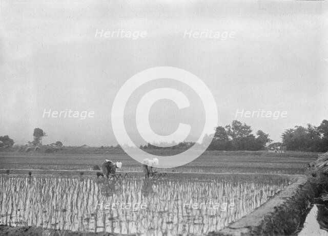 Travel views of Japan and Korea, 1908. Creator: Arnold Genthe.