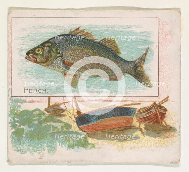 Perch, from Fish from American Waters series (N39) for Allen & Ginter Cigarettes, 1889. Creator: Allen & Ginter.