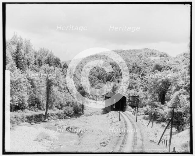 South near Gasset's i.e. Gassetts, Vt., between 1900 and 1906. Creator: Unknown.
