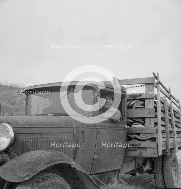 Stump farmer bringing load of slab wood to sell in town, Bonner County, Idaho, 1939. Creator: Dorothea Lange.