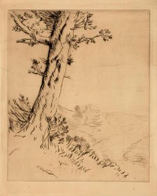 Tronc D'arbre, c1879. Creator: Alphonse Legros.
