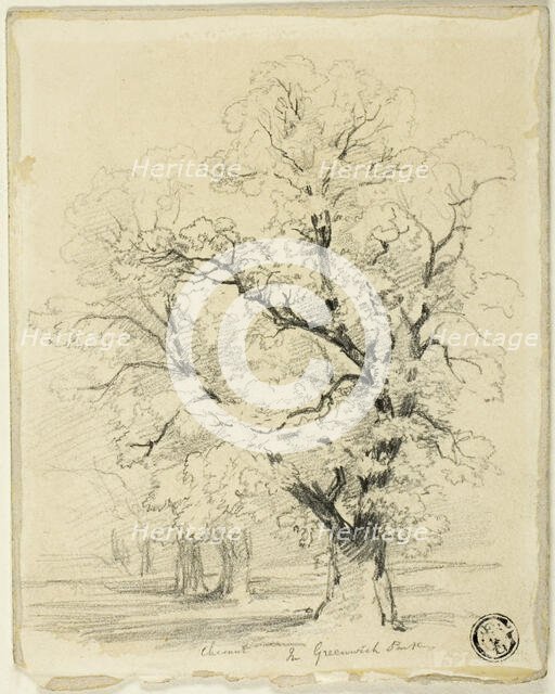 Ches[t]nut in Greenwich Park, n.d. Creator: Thomas Creswick.